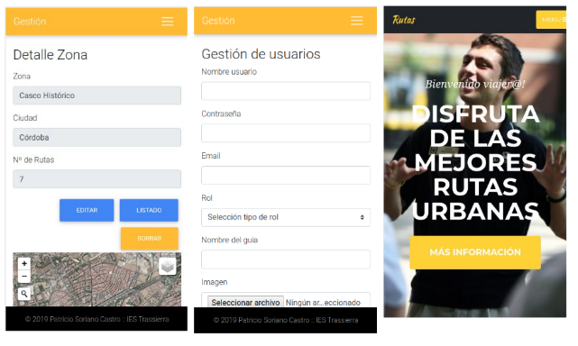 Vista responsive de la aplicación